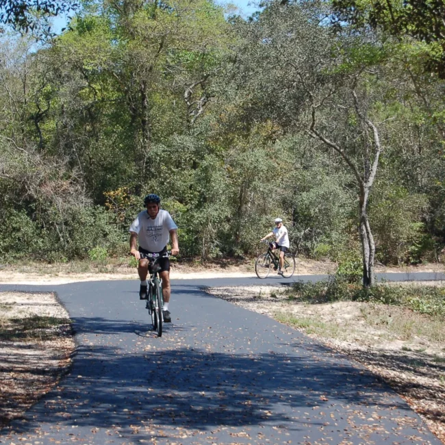 Cyclist on the Gulf Oak Ridge Trail at Gulf State Park, Gulf Shores