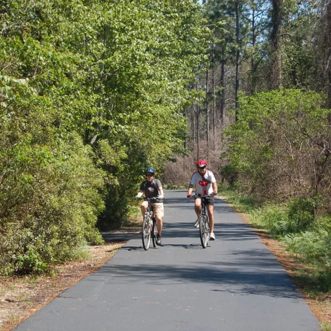 Cyclists on the Gulf Oak Ridge Trail in Baldwin County, Alabama